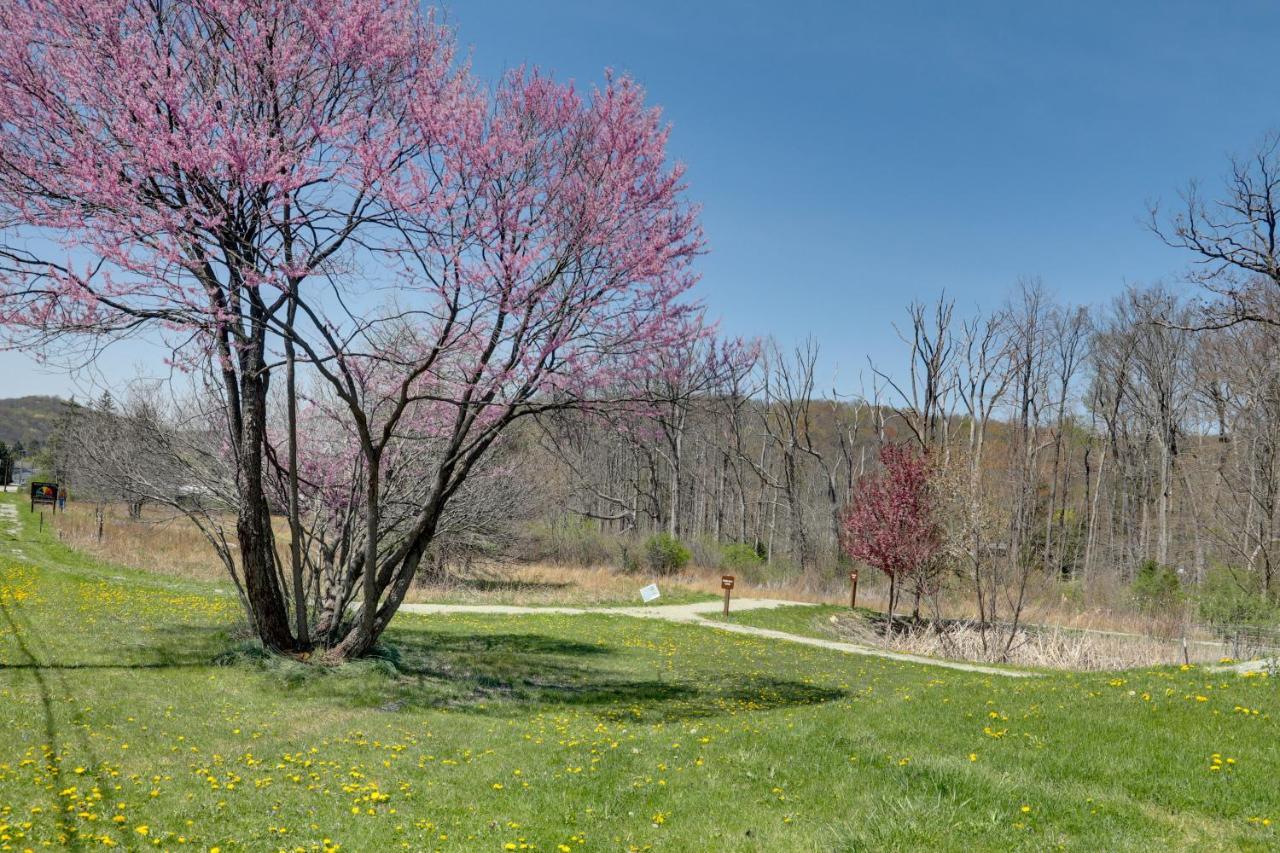 Pet-Friendly Pennsylvania Vacation Rental With Pool! Laughlintown Eksteriør bilde